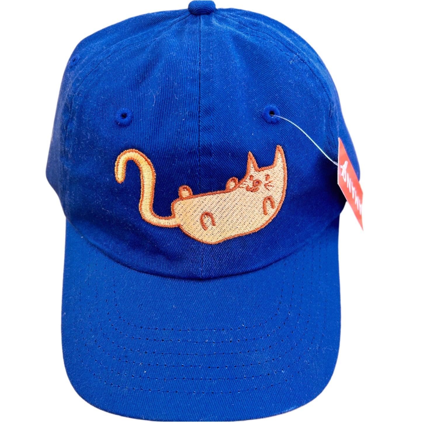 Belly Cat Youth Hat