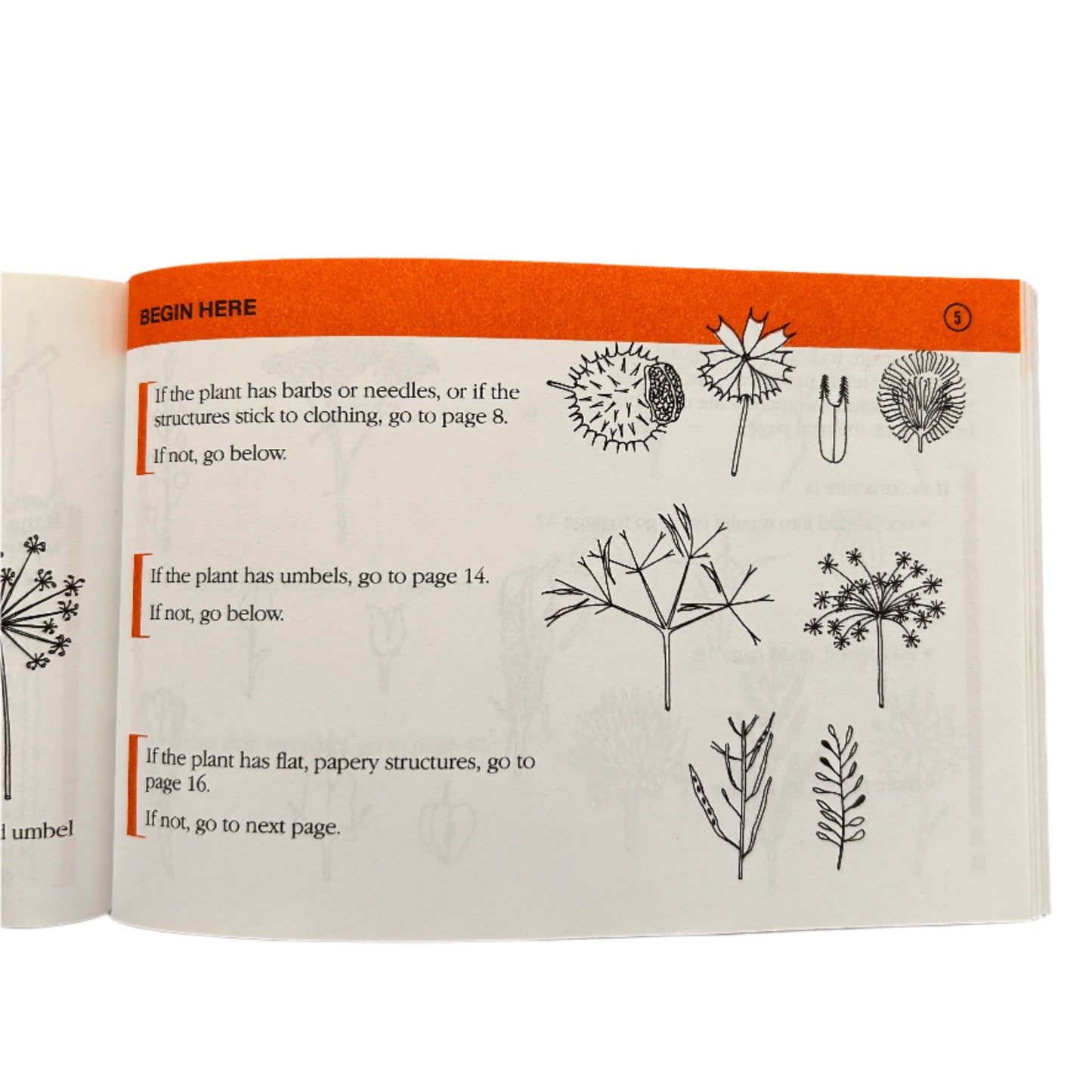 Winter Weed Finder Zine